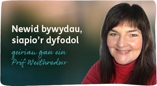Blog Ein Prif Weithredwr